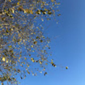 Meet your Posher, Sherri